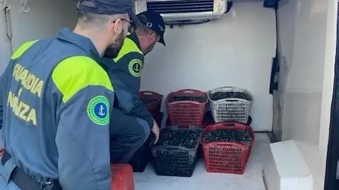 Il sequestro delle vongole
