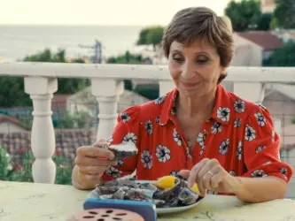 Il film "La gazza ladra"