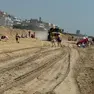 Le ruspe al lavoro tra piazza Milano e piazza Torino a Jesolo, in mezzo ai bagnanti (foto Bortoluzzi)