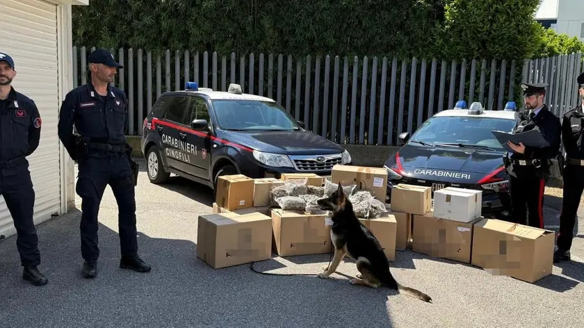 Maxi operazione antidroga, sequestrati oltre 79 chili di marijuana: arrestati padre e figlia