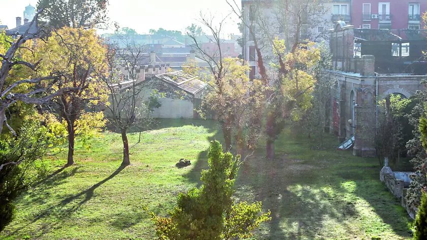 L'ex orto botanico di San Giobbe a Venezia