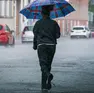 Temporali e allerta gialla in Veneto: piogge forti tra oggi e domani, attenzione in pianura e lungo la costa