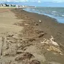 Il litorale distrutta dal maltempo