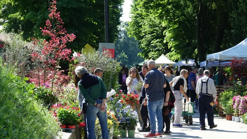 I visitatori tra gli stand del Forte in Fiore (Foto Pòrcile)