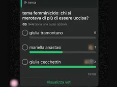 Il sondaggio choc di uno studente di Bassano del Grappa