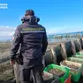 Parte delle vongole sequestrate dalla Finanza