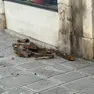 Il cornicione crollato