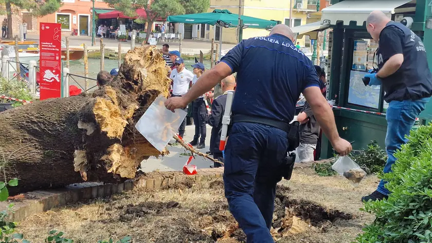 Il crollo del lecico a piazzale Roma