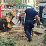 La polizia locale effettua degli accertamenti sull'albero caduto in Piazzale Roma