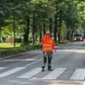 Il taglio degli alberi