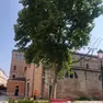 Le operazioni di abbattimento in campo Sant'Agnese a Venezia