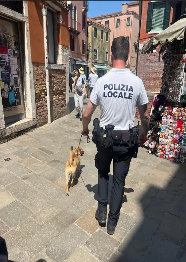 La polizia locale con uno dei due cani