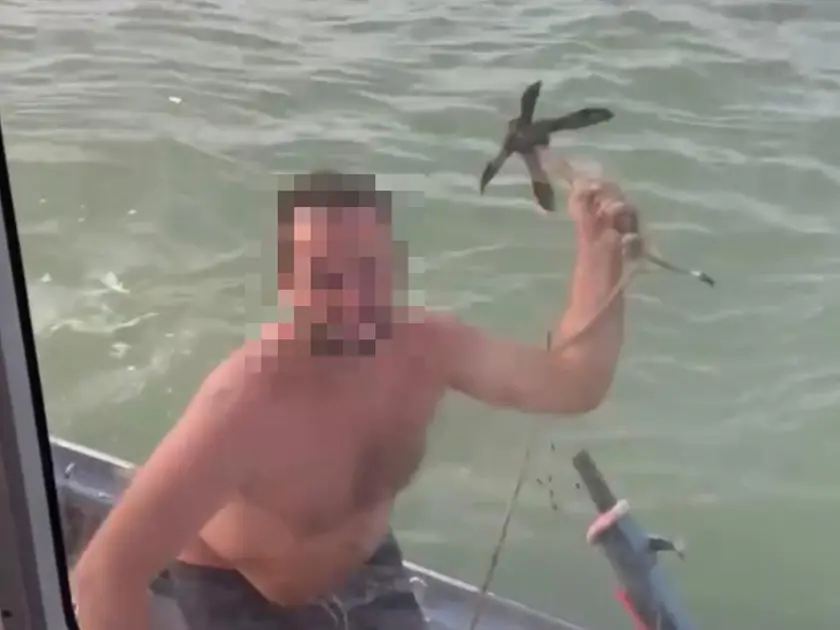 Venezia, barchino assalta lancione Alilaguna
