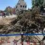 Il leccio caduto in piazzale Roma: indaga la procura sulla catena di comando