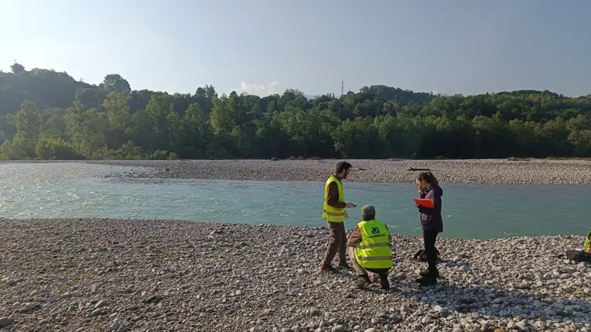 Operazione fiumi, il Piave
