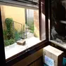Il mattone e la finestra in frantumi