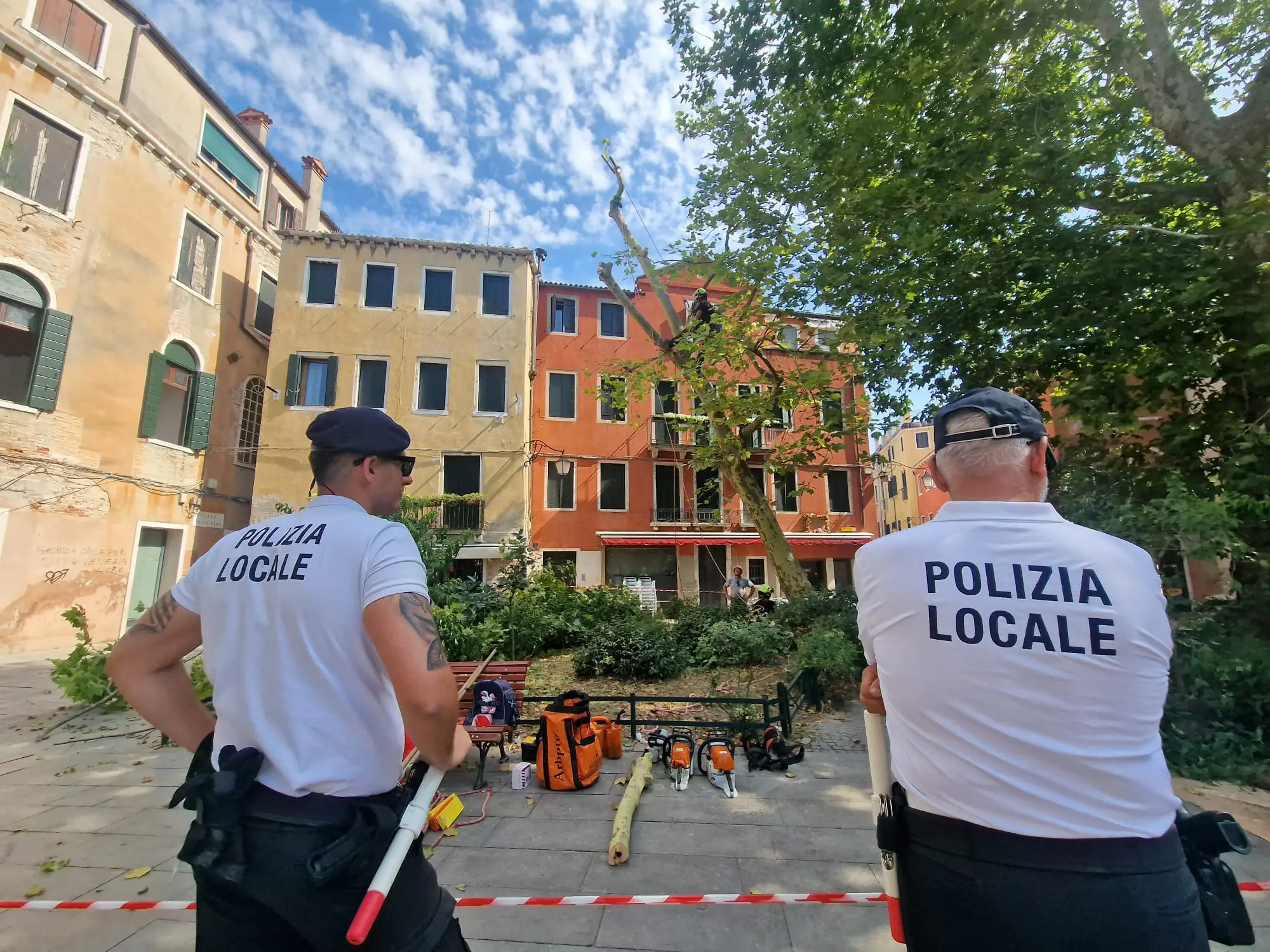 Il taglio dei rami dell'albero di campo San Giacomo, mercoledì mattina (Foto Interpress)