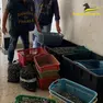 Il sequestro di vongole a Pellestrina