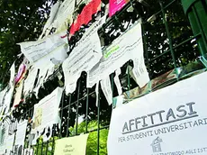 Trovare casa per gli studenti fuori sede è un'urgenza e purtroppo la truffa è dietro l'angolo