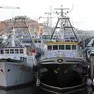 Chioggia rischia di perdere metà della flotta da pesca: 50 richieste per rottamare le barche