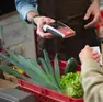 Michele ha lavorato come stagionale in un supermercato di Lignano