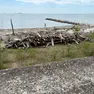 Le capannine dei Murazzi al Lido