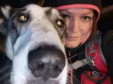 Asia, il cane eroe ucciso con una polpetta avvelenata: “Mi ha salvato la vita due volte”