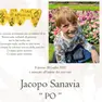 L'epigrafe di Jacopo Sanavia, morto a 9 anni