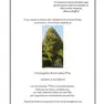 L'epigrafe contro il taglio degli alberi distribuita a San Donà