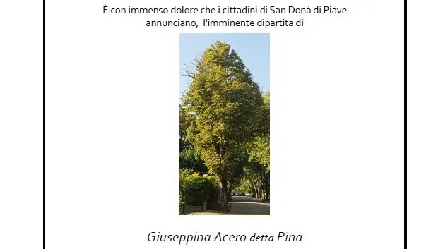 L'epigrafe contro il taglio degli alberi distribuita a San Donà