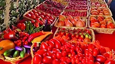 La festa del pomodoro