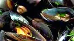 Cozze alla marinara
