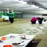 L’allagamento dello stand della Festa dei Omi prima della tragedia