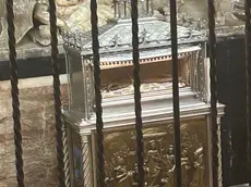 La teca con l'avambraccio