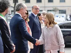 Zaia e Meloni