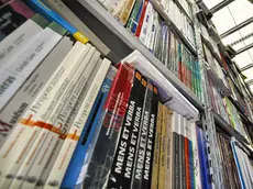 Testi scolastici in una foto di archivio