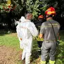 Il luogo della tragedia