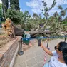 L'albero caduto in piazzale Roma a Venezia