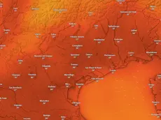 Le temperature a Nordest (Windy)