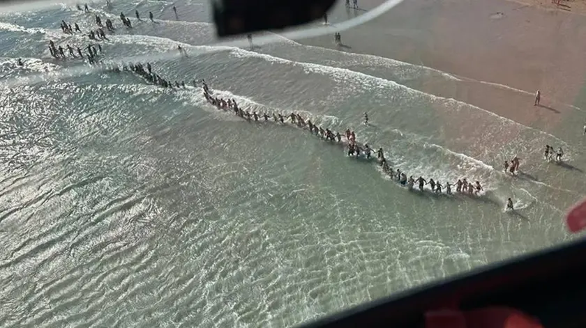 La catena umana per ritrovare il bambino scomparso tra le onde