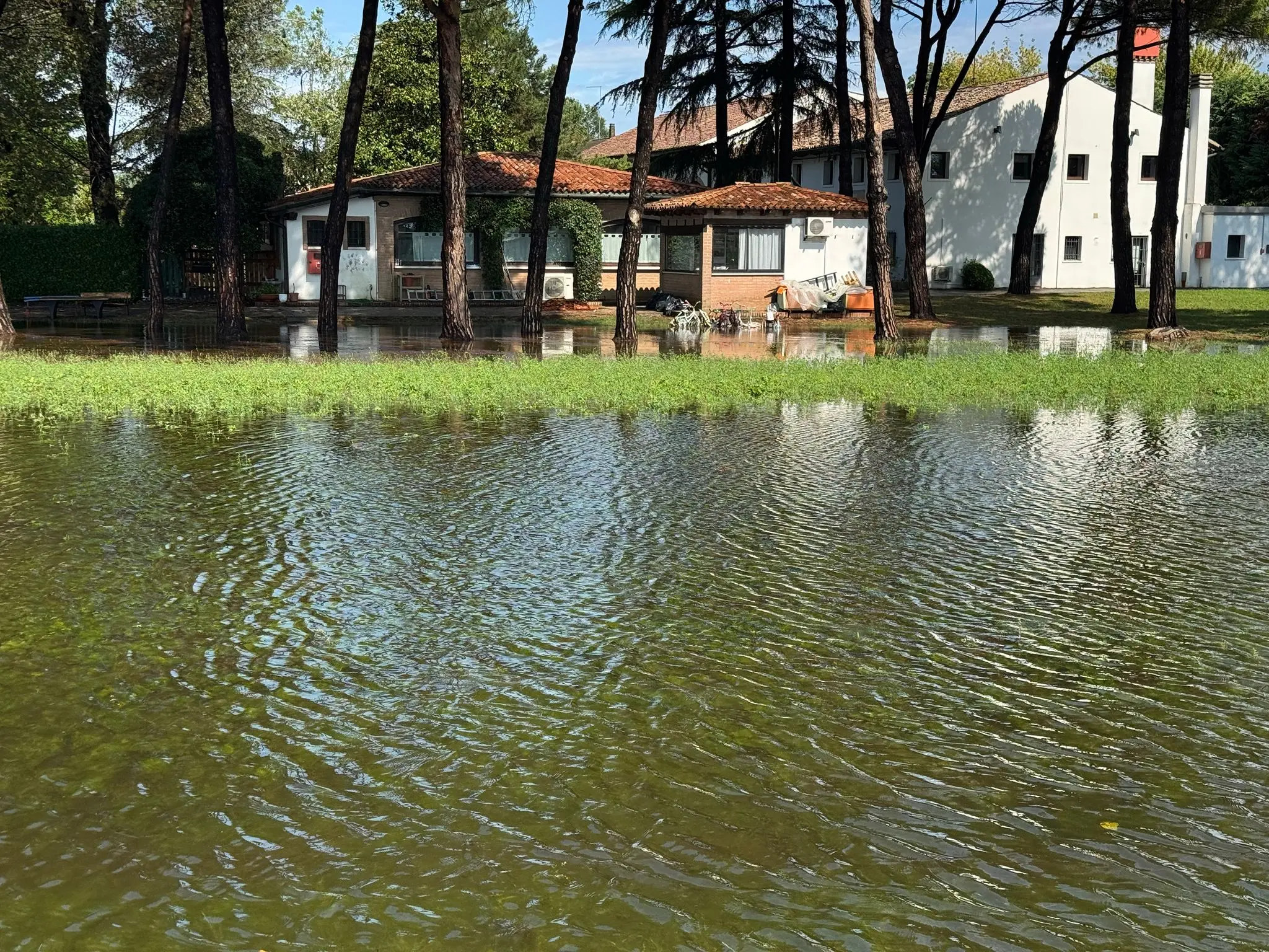 Allagamenti a Mestre, aperta sala emergenza: sono state decine le telefonate ai vigili del fuoco, allertata anche la protezione civile. Ecco le immagini degli allagamenti che hanno riguardato soprattutto scantinati, cantine e alcune abitazioni nel Veneziano