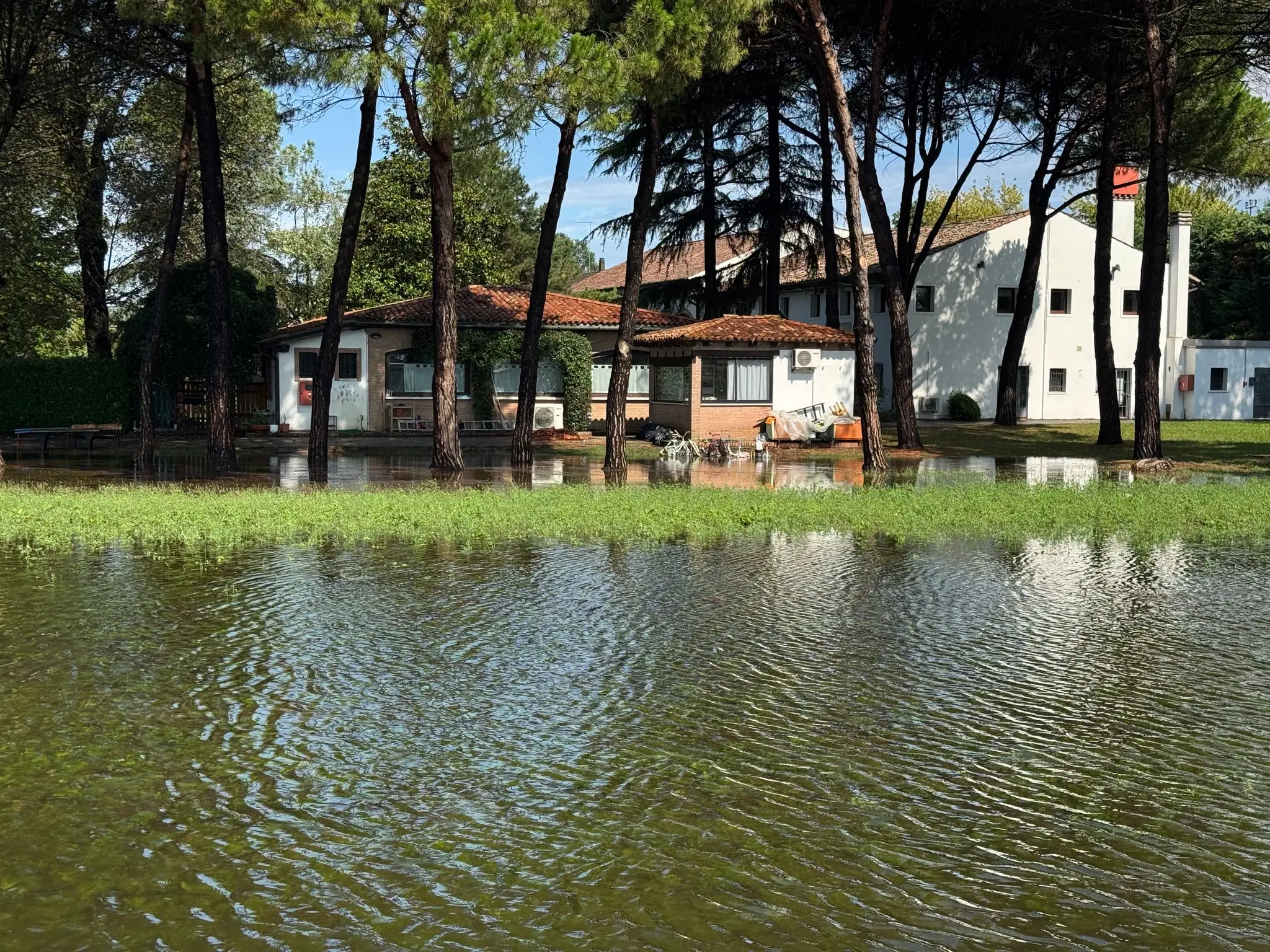 Allagamenti a Mestre, aperta sala emergenza: sono state decine le telefonate ai vigili del fuoco, allertata anche la protezione civile. Ecco le immagini degli allagamenti che hanno riguardato soprattutto scantinati, cantine e alcune abitazioni nel Veneziano