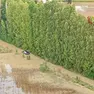 Un'auto rimasta bloccata nell'area allagata