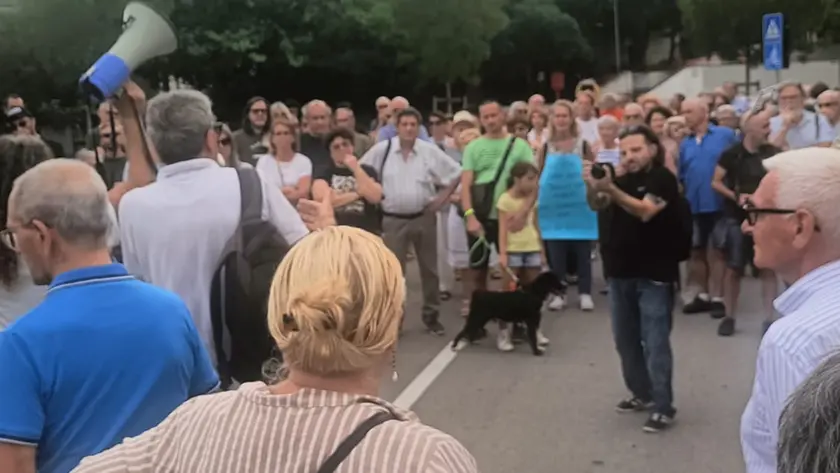 La protesta contro l'abbattimento degli alberi