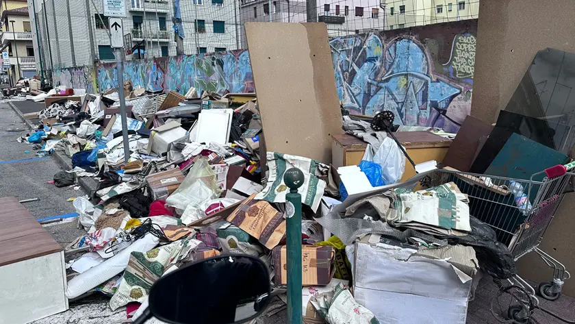 Le immondizie sulle strade di Mestre