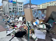 Le immondizie sulle strade di Mestre