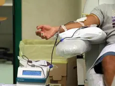 Paziente affetto dal virus chikungunya