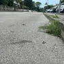 Via Liguria, dove la donna è caduta con il monopattino
