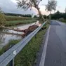 L'albero caduto a Meolo portandosi dietro un pezzo di asfalto (Foto Monforte)