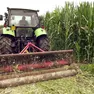 Bandi per i giovani agricoltori: lotta tra associazioni di categoria venete